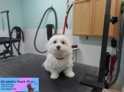 gabby-before-11-12-2014