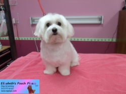 gabby-pizazz-11-12-2014