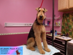 geo-pizazz-10-05-2014