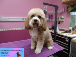 georgia-pizazz-10-22-2014