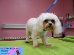 gracie-pizazz-6-7-14