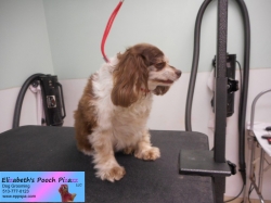 guy-before-11-07-2014