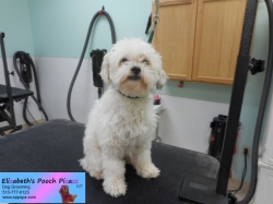 jackson-before-11-08-2014