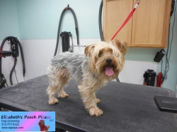 jasmine-before-11-05-2014