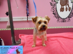 jasmine-pizazz-06-13-2014