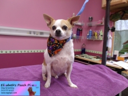 jax-pizazz-10-05-2014