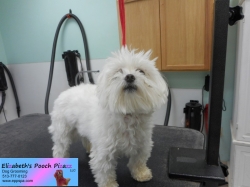 jazz-min-before-11-05-2014