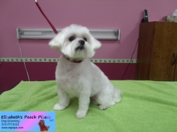 jazz-min-pizazz-11-05-2014