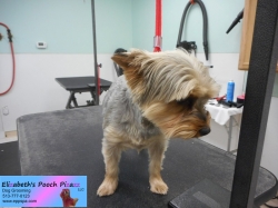 jessie-before-11-09-2014