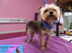 juicy-pizazz-10-12-2014