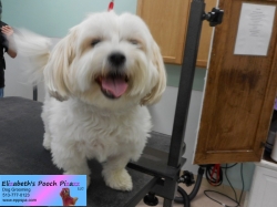 kirby-before-09-30-2014