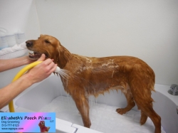 kobe-before-11-09-2014