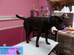 kobe-pizazz-10-15-2014