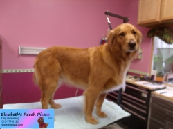 kobe-pizazz-11-09-2014