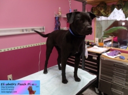 kobe2-pizazz-10-15-2014