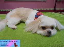 kodi-pizazz-06-08-2014