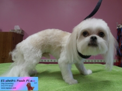 kodi-pizazz-10-12-2014