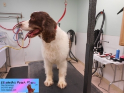 kyle-before-11-09-2014