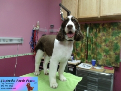 kyle-pizazz-11-09-2014