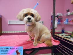 lacey-pizazz-06-27-2014