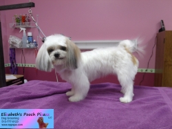 lacey-pizazz-10-01-2014