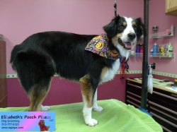 lambao-pizazz-10-05-2014