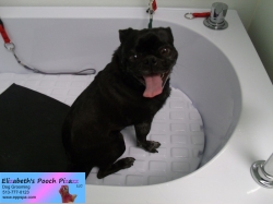 lenny-before-09-25-2014