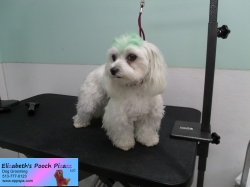 leo-before-06-20-2014