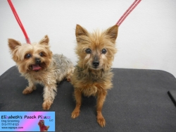 lexus-before-09-30-2014