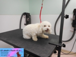 lilly-before-11-05-2014