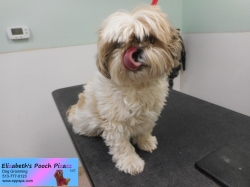 lilly-before-11-13-2014