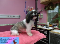 lilly-pizazz-10-17-2014