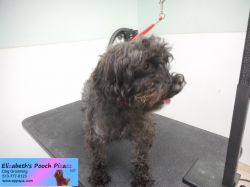 linus-before-11-05-2014