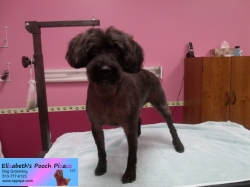 linux-pizazz-11-05-2014