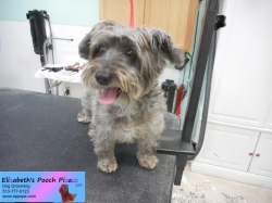 lucy-before-11-05-2014