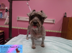 lucy-pizazz-11-05-2014