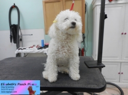 lucy-w-before-11-05-2014