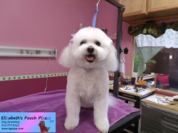 lucy-w-pizazz-11-05-2014