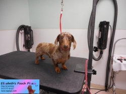 mac-before-11-13-2014