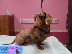 mac-pizazz-11-13-2014