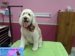 macey-pizazz-10-16-2014