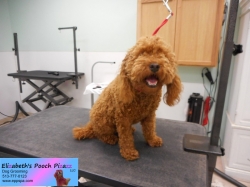 maggie-before-10-02-2014