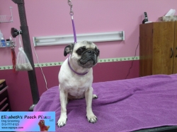 maggie-pizazz-10-21-2014