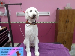 maizey-pizazz-10-15-2014