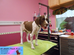 maizie-pizazz-06-13-2014