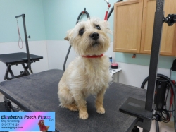 maxie-before-10-21-2014