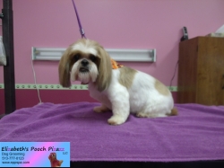 mazey-pizazz-11-07-2014