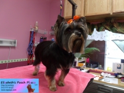 megan-pizazz-10-09-2014