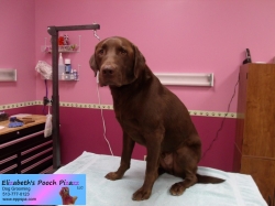 milo-pizazz-10-04-2014