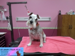 mitzi-pizazz-11-04-2014